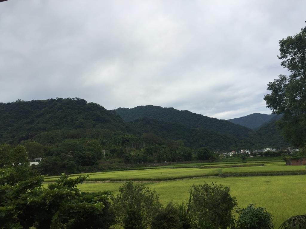 金萱花民宿 玉里镇 外观 照片